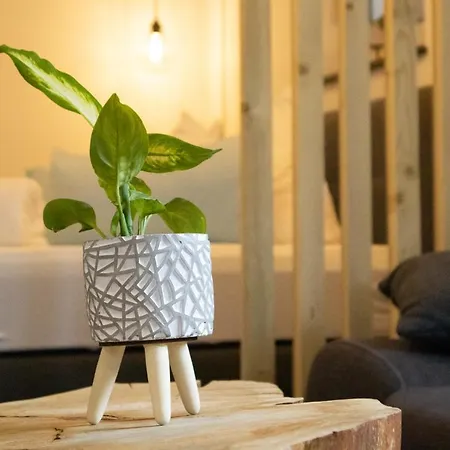 Am Seewald - Am Bodensee *