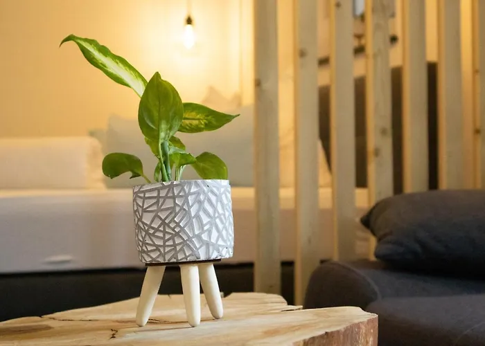 Am Seewald - Am Bodensee *